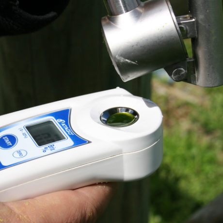 Pal-1 refraktometer måler olivenolje